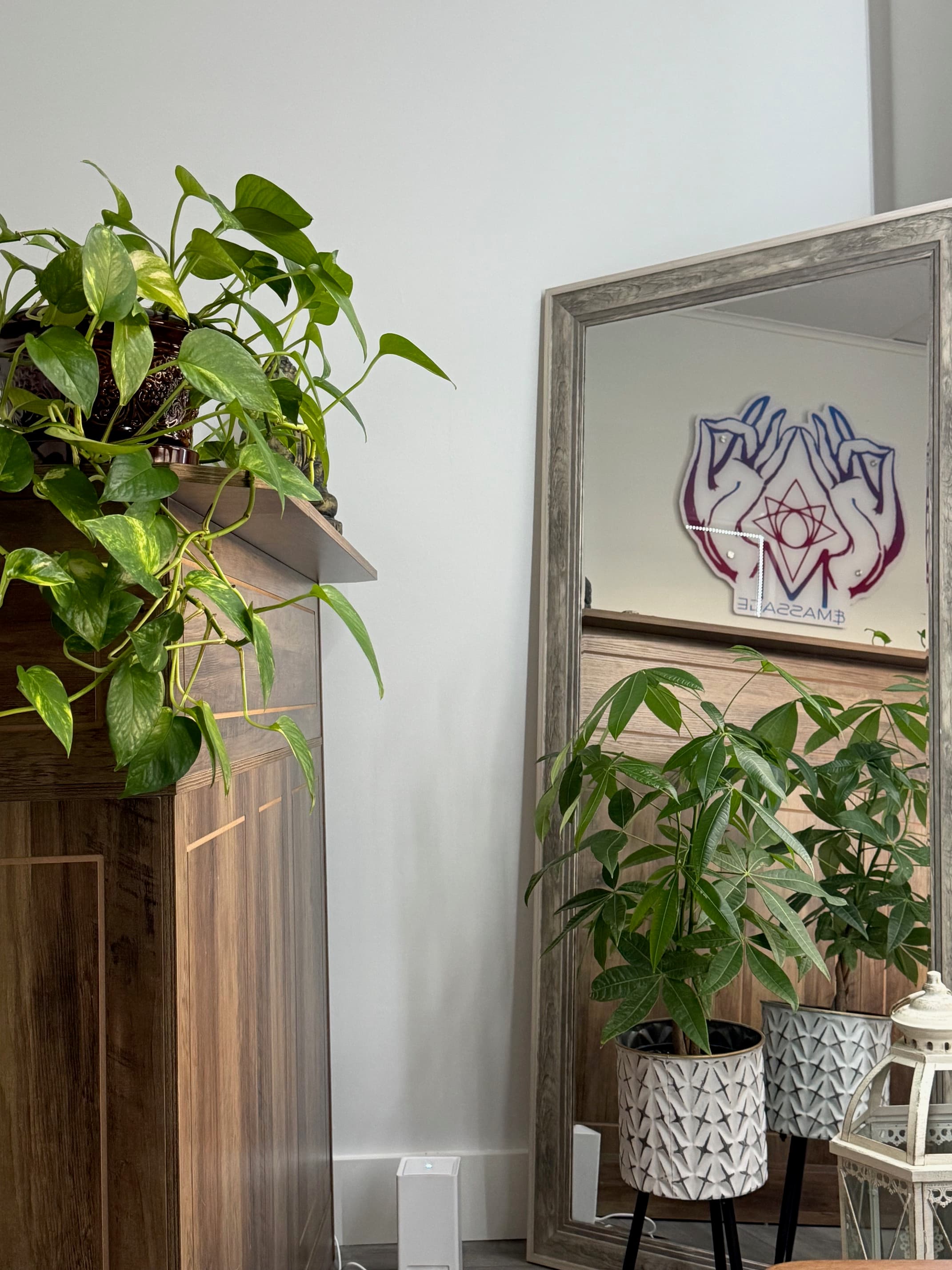 VDM studio entrance with plants